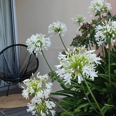 Le 3 Vue Avec Jardin 100m De La Et De La Thalasso Apartment *