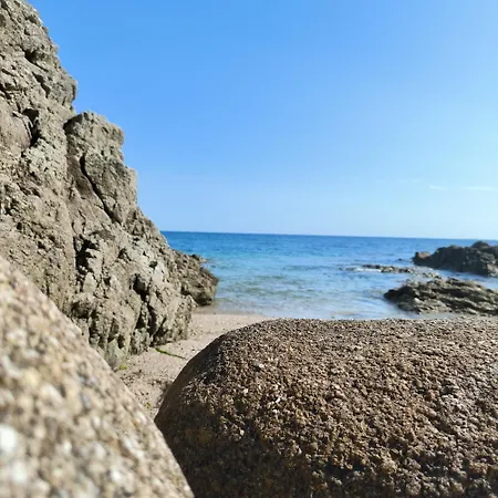 Le 3 Vue Avec Jardin 100m De La Et De La Thalasso *